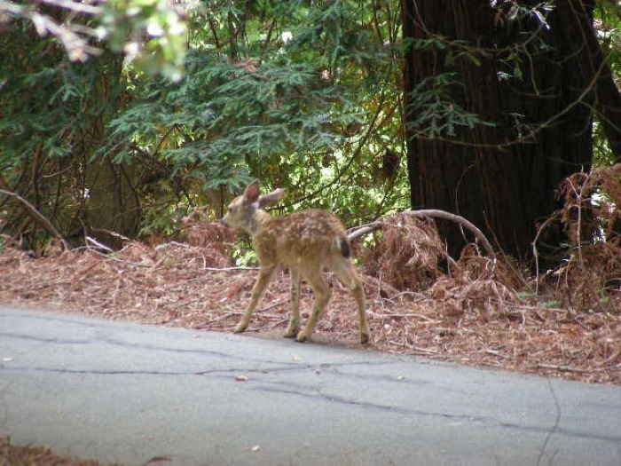 th_DSCN0492.jpg
