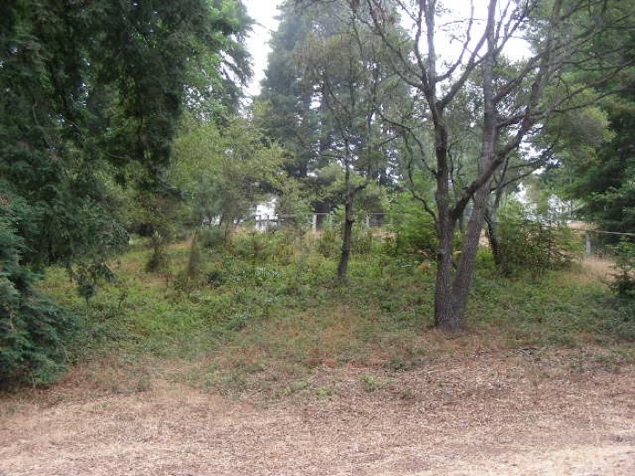 th_DSCN0597.jpg