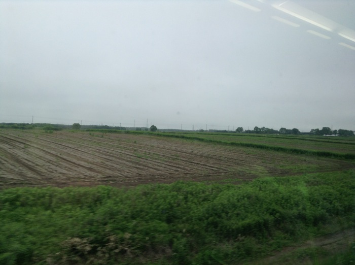th_IMG_4739.jpg