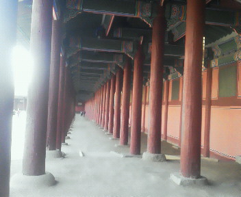 201110261635000.jpg