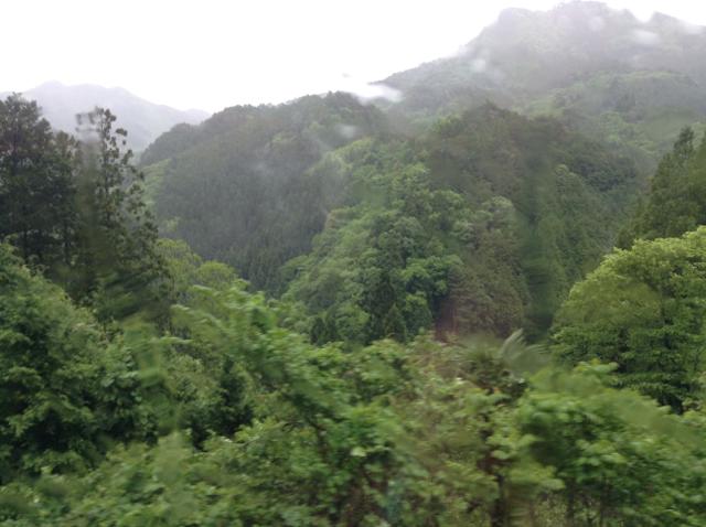 th_写真 2015-05-12 15 57 59.jpg