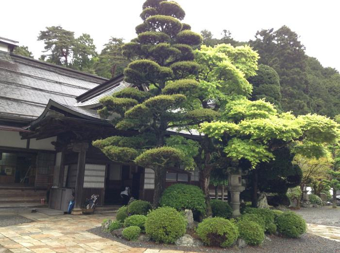 th_写真 2015-05-12 17 29 11.jpg