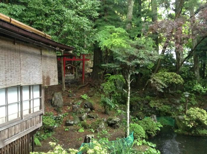 th_写真 2015-05-12 17 18 21.jpg