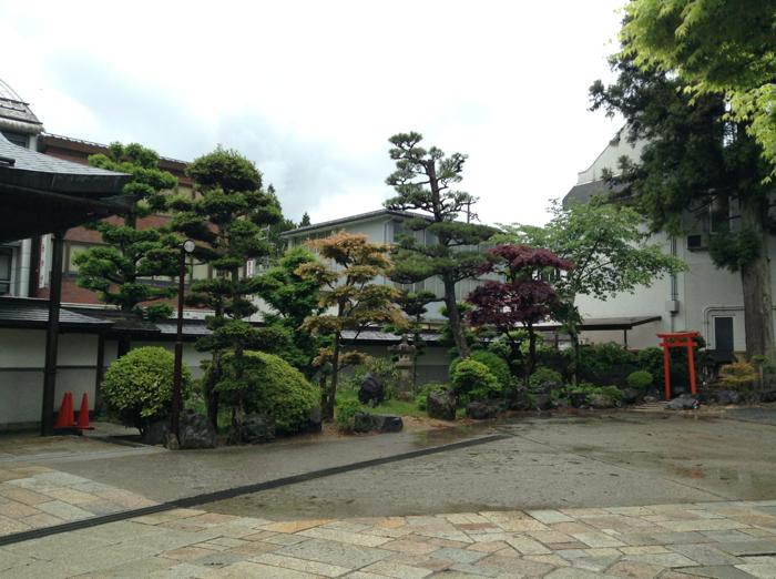 th_写真 2015-05-12 17 27 58.jpg