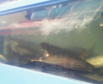 201110271219000.jpg