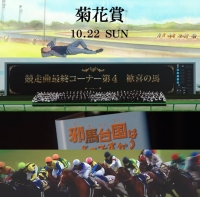 菊花賞　有馬記念　日本ダービー　ポスター　ＣＭ　サイン　演出競馬　宮崎リューセイ　長澤まさみ　見上愛　まさみ　あい　佐々木蔵之介　高額払戻し　jpro競馬ソフト　大谷翔平　藤井聡太八冠　fun.jpg