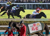 天皇賞秋　有馬記念　日本ダービー　ポスター　ＣＭ　サイン　演出競馬　宮崎リューセイ　長澤まさみ　見上愛　まさみ　あい　佐々木蔵之介　高額払戻し　jpro競馬ソフト　大谷翔平　ドゥレッツア.jpg