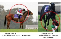 天皇賞秋　有馬記念　日本ダービー　ポスター　ＣＭ　サイン　演出競馬　宮崎リューセイ　長澤まさみ　見上愛　まさみ　あい　佐々木蔵之介　高額払戻し　jpro競馬ソフト　大谷翔平　天覧競馬.jpg