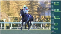 チャンピオンズカップ　有馬記念　日本ダービー　ポスター　ＣＭ　サイン　演出競馬　宮崎リューセイ　長澤まさみ　見上愛　まさみ　あい　佐々木蔵之介　高額払戻し　jpro競馬ソフト　大谷翔平　イクイノックス　カレンダー.jpg