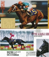 フェブラリーS　有馬記念　日本ダービー　ポスター　ＣＭ　サイン　演出競馬　宮崎リューセイ　長澤まさみ　見上愛　まさみ　あい　佐々木蔵之介　高額払戻し　jpro競馬ソフト　70　ルドルフ.jpg