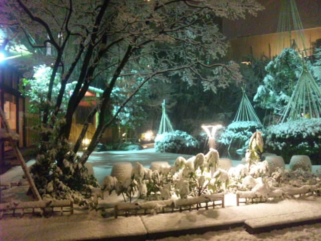 SH3G01650001.jpg