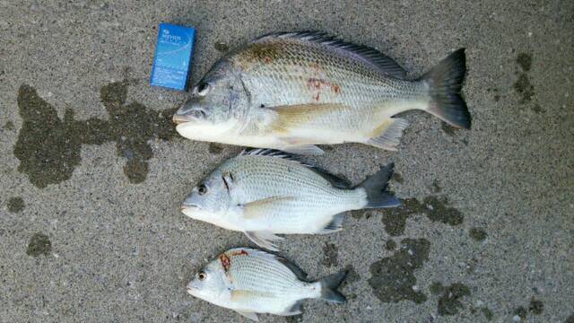 20131028_095536.jpg