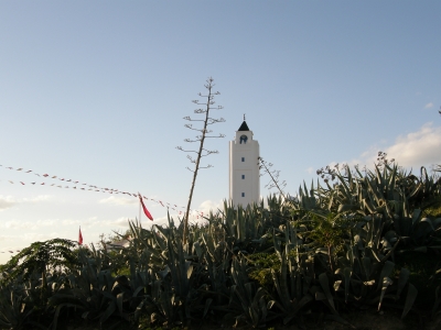 PB100227.JPG