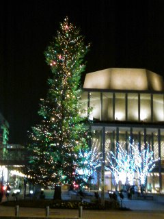 081216_1908~02.jpg