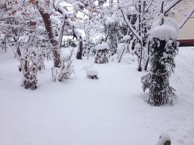 雪中