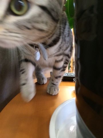 小山もーちゃん1.JPG