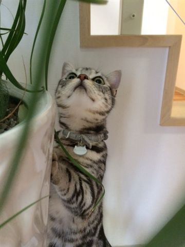 小山もーちゃん2.JPG