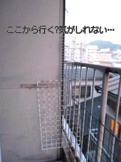 P101062500010002.jpg