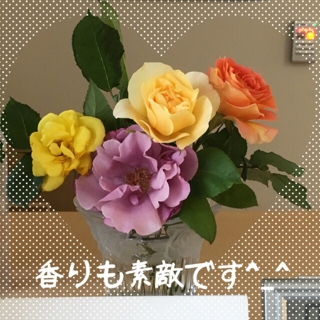 iPhoneImage.png