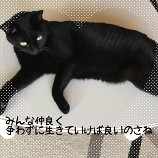 iPhoneImage.png