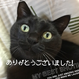 iPhoneImage.png