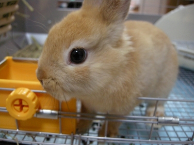 はじめまして☆