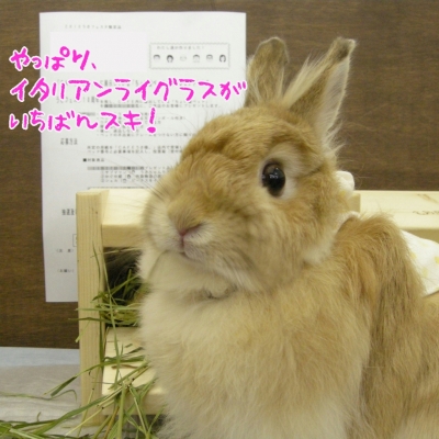 DSCN7280.jpg
