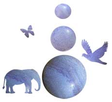 BlueRaceAgate