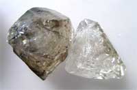 Eleschal2