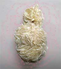 SandRose