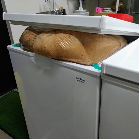 猛烈に発酵中