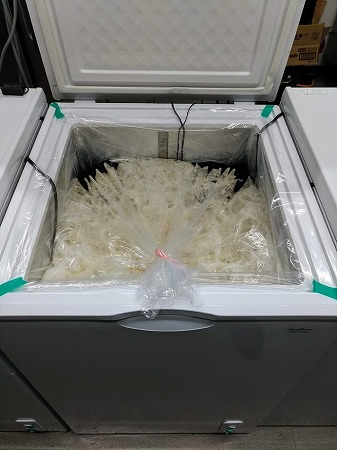 90Lも造っちゃったさ