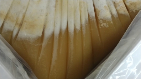 野生酵母ビール発酵中