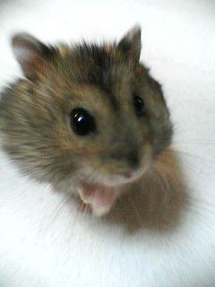 20070206_175112.jpg