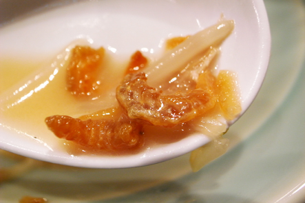 a_0027082.jpg