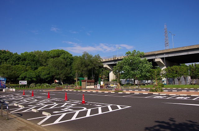 久宝寺緑地 八尾市 のレポート おおさからんどblog 大阪の行楽スポット イベントガイド