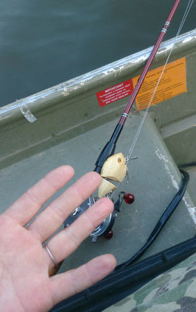 近況、そしてガイドの話 | Slowtaper