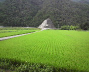2010081413190000.jpg