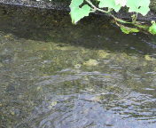 2010081412590000.jpg