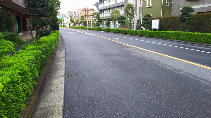 DSC_5988.jpg
