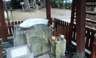 しろなまず