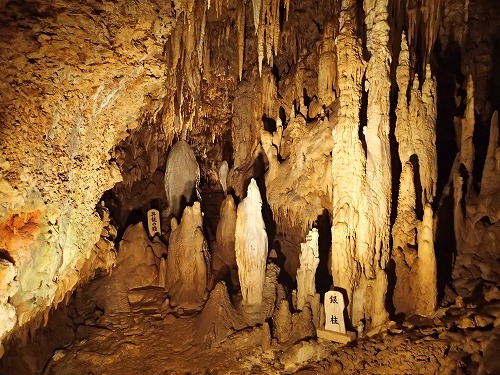 s-PA290286.jpg