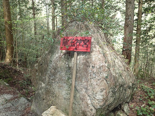 P4180044.jpg
