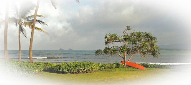 kailua beach