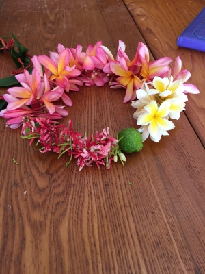 ハワイの美しい花首飾り Lei と魅力的な香り Earthly Paradise アースパラダイス
