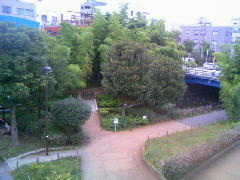 200810192215000.jpg