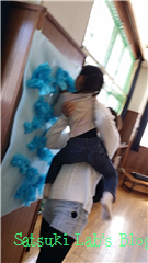 2014-03-15 11.08.44.png