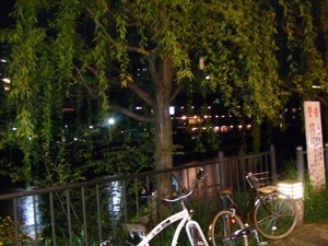 鴨川2.jpg 鴨川2.jpg