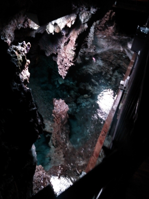 DSC_0082.JPG