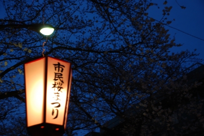 DSC_8119.JPG